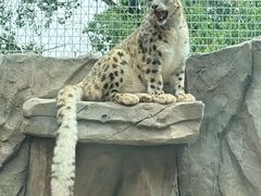 -青藏高原野生动物园