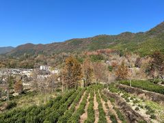 -塔川景区