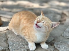 -天津盘山风景名胜区