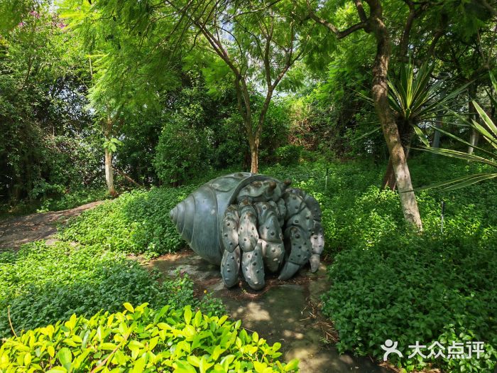 鼓浪屿图片