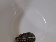 -九忠祥小笼馆(保利时光里店)