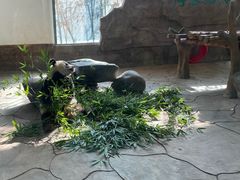 -宁波野生动物园