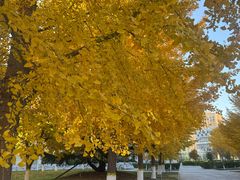 -锦江富园大酒店-游泳馆