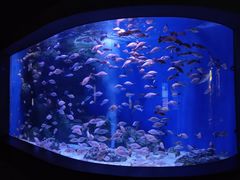 -成都浩海立方海洋公园