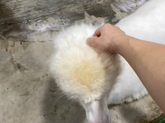 -上海大自然野生昆虫馆(东方明珠·爬宠昆虫探索中心)