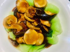 蚝油双菇菜心-兴农记