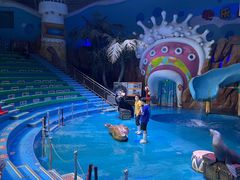 -烟台海昌鲸鲨海洋公园