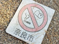 -奈良公园