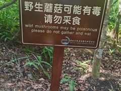 -七娘山
