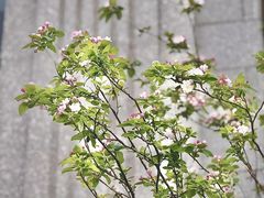 -山东大学学府大酒店(千佛山地铁站店)