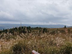 -龙里油画大草原旅游区