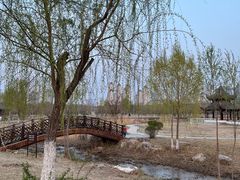 -水西公园