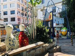 -猫咪博物馆(顶澳仔猫街店)