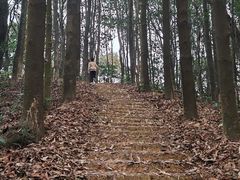-广州市帽峰山景区