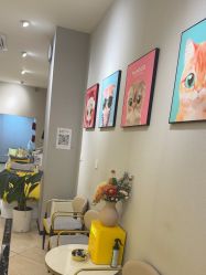 -洗脸猫·洗脸吧