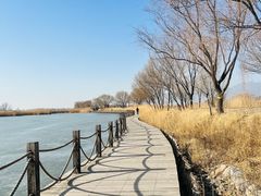 -野鸭湖国家湿地公园