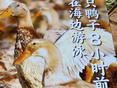 -虎婆冷饮店·海南特色炒冰(三亚湾店)