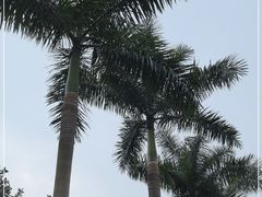 -广州市白云山风景名胜区