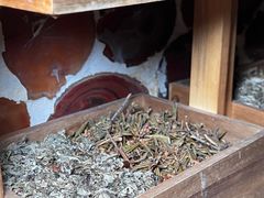 -丽辰新韩式商务SPA·洗浴桑拿·自助餐食