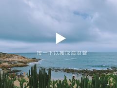 -广东惠东海龟国家级自然保护区