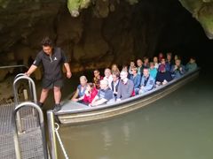 -怀托摩萤火虫洞