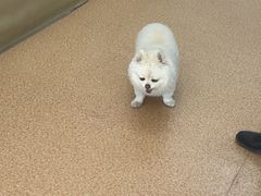 -宠颐生中康贝怡动物医院