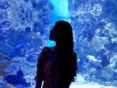 -烟台海昌鲸鲨海洋公园