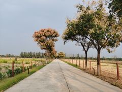 -汉长安城未央宫国家考古遗址公园