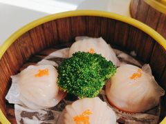 -佳丽海鲜大酒楼(环岛海景店)