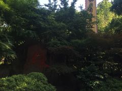 -杭州黄龙洞