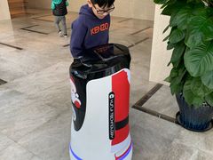 -上海崇明金茂凯悦酒店