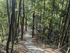 -缙云山景区