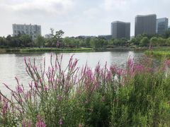 -西海子公园