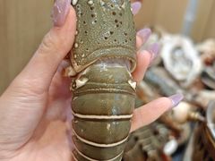 -亚马逊蒸汽活海鲜自助(LCM置汇旭辉广场店)