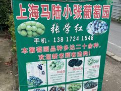 -马陆小张葡萄园农家乐