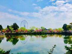 -无锡蠡湖国家湿地公园-蠡园