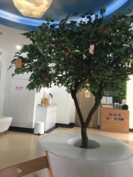 -睿宝儿科·眼科·口腔(杨浦新江湾城店)