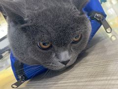 -荔康动物医院(康王北路店)