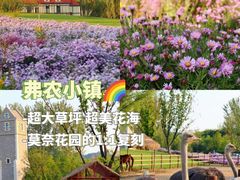 -沉浸北京·团建旅行·密室剧本杀·年会会议轰趴拓展