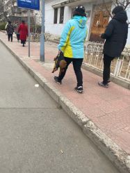 -丝域养发馆