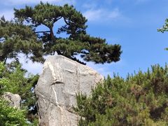 -北京奥林匹克公园