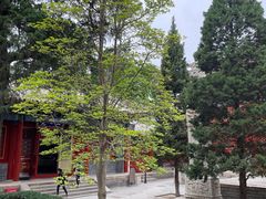 -北京艺术博物馆(万寿寺)