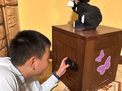 -迪拜乐高乐园