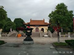 -溱湖国家湿地公园