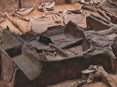 -洛阳周王城天子驾六博物馆