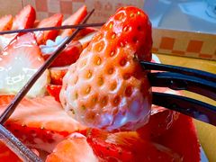 -壹点壹客·生日蛋糕(南山店)