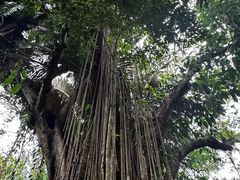 -七仙岭温泉国家森林公园