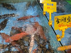 水产区-79号渔船海鲜饭店(宝安店)