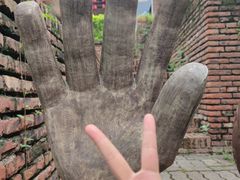-青青世界