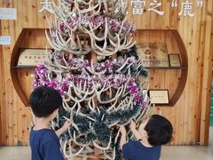 -北京鹿世界主题园